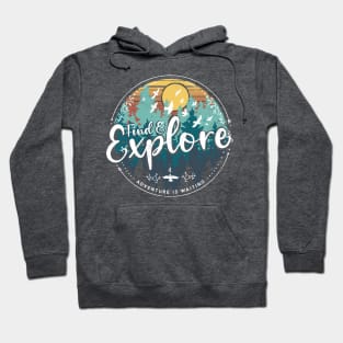 Find and explore vintage sunset Hoodie